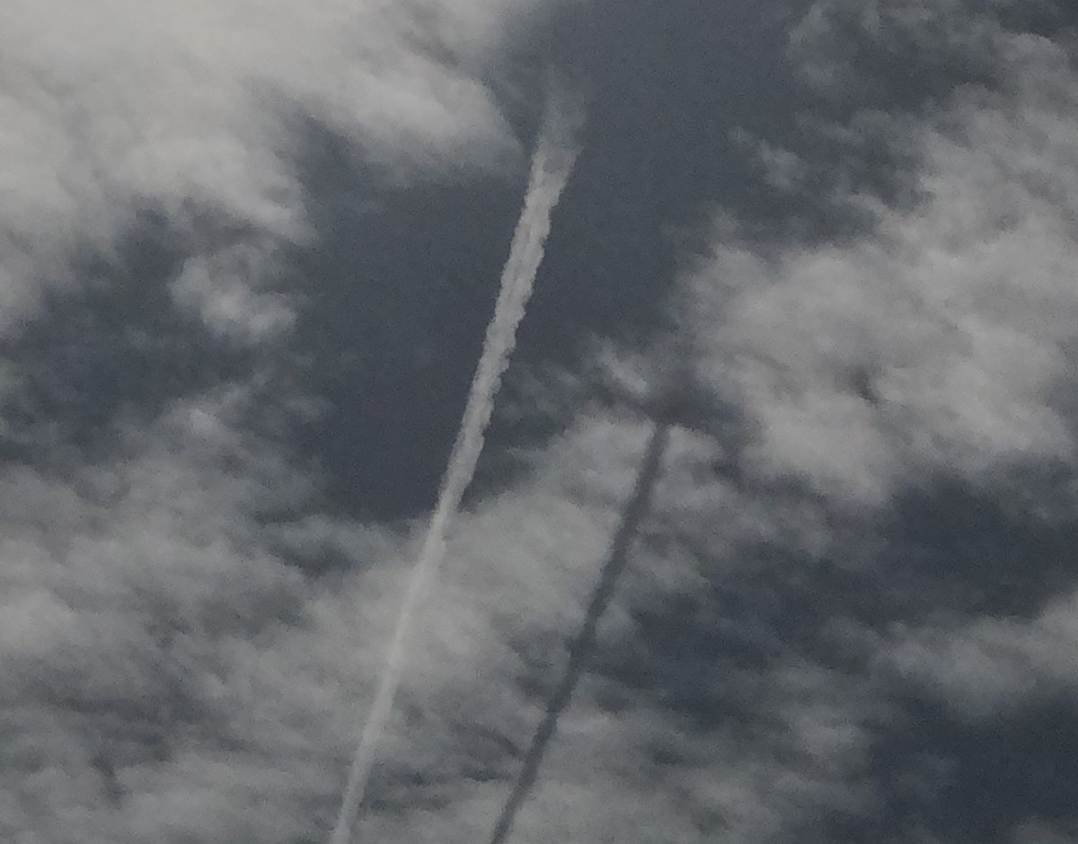 ๐๐ฆ๐ค๐ (@muse2pharaoh) on Twitter photo <a href="/ai_jared/">DNC Fraud Lawsuit attorneys did Nothing Wrong</a> New, and a first, taken yesterday: When was the last time you've seen a shadow of a contrail? Was definitely a new one on me in my five decades. <a href="/ai_jared/">DNC Fraud Lawsuit attorneys did Nothing Wrong</a> New, and a first, taken yesterday: When was the last time you've seen a shadow of a contrail? Was definitely a new one on me in my five decades.