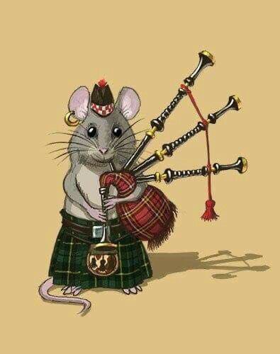 The Kelvin Ensemble tweet media
