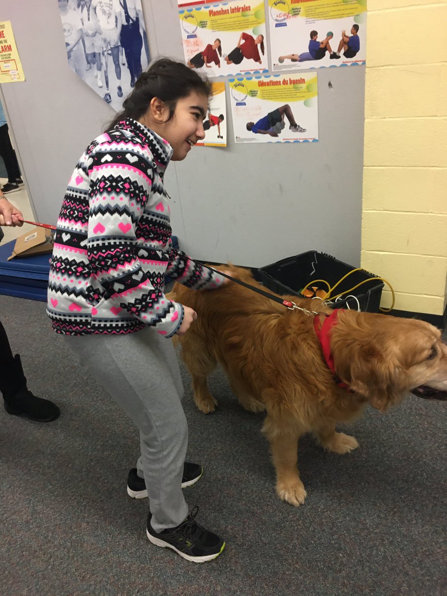7E1Tweets's tweet photo. Bear the therapy dog visited us yesterday! Z pet him for the first time. Two of our girls especially LOVE spending time with him. @Eightis_gr8 @EarnscliffeSPS @PeelSchools #Bear2494 https://t.co/BTzJt2EHD0
