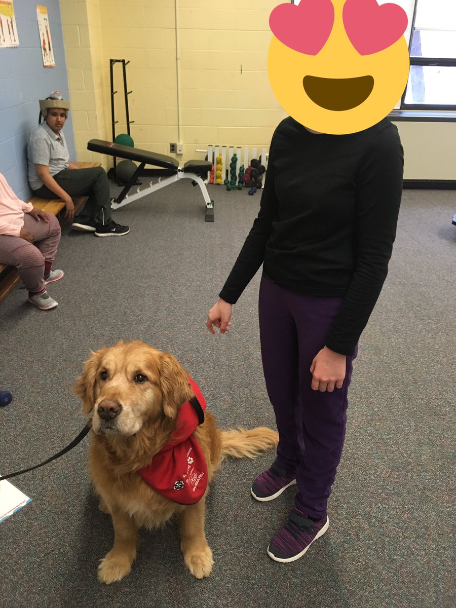 7E1Tweets's tweet photo. Bear the therapy dog visited us yesterday! Z pet him for the first time. Two of our girls especially LOVE spending time with him. @Eightis_gr8 @EarnscliffeSPS @PeelSchools #Bear2494 https://t.co/BTzJt2EHD0