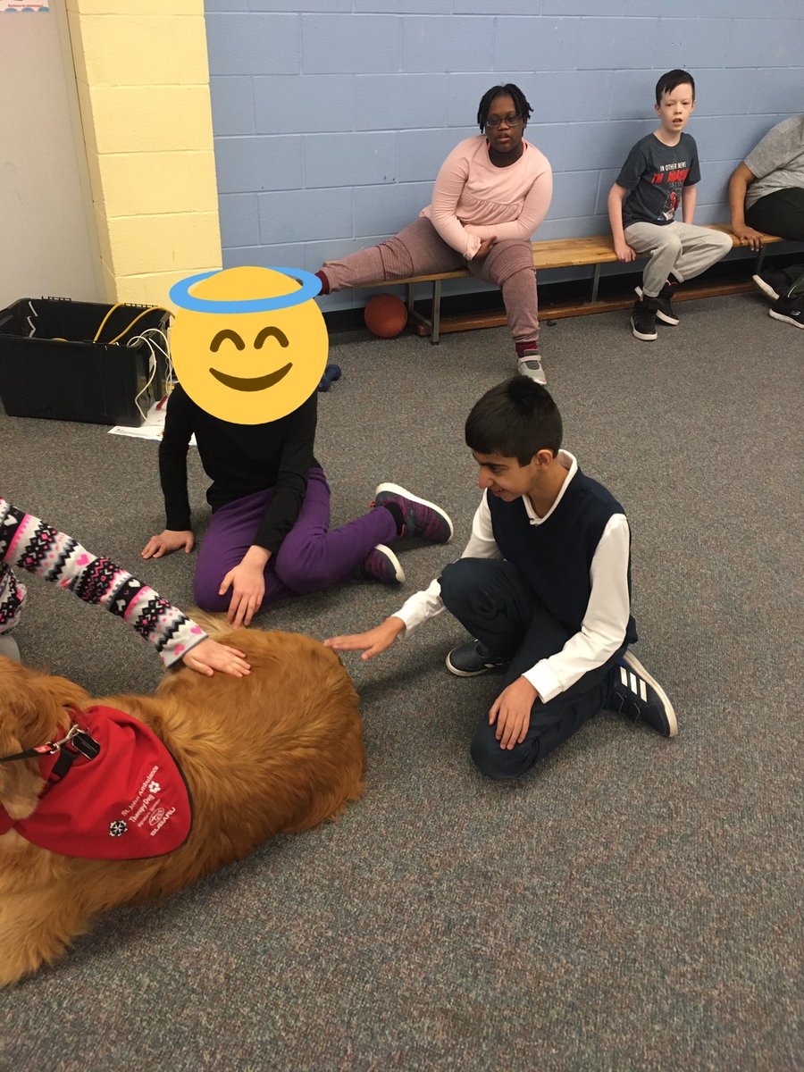 7E1Tweets's tweet photo. Bear the therapy dog visited us yesterday! Z pet him for the first time. Two of our girls especially LOVE spending time with him. @Eightis_gr8 @EarnscliffeSPS @PeelSchools #Bear2494 https://t.co/BTzJt2EHD0