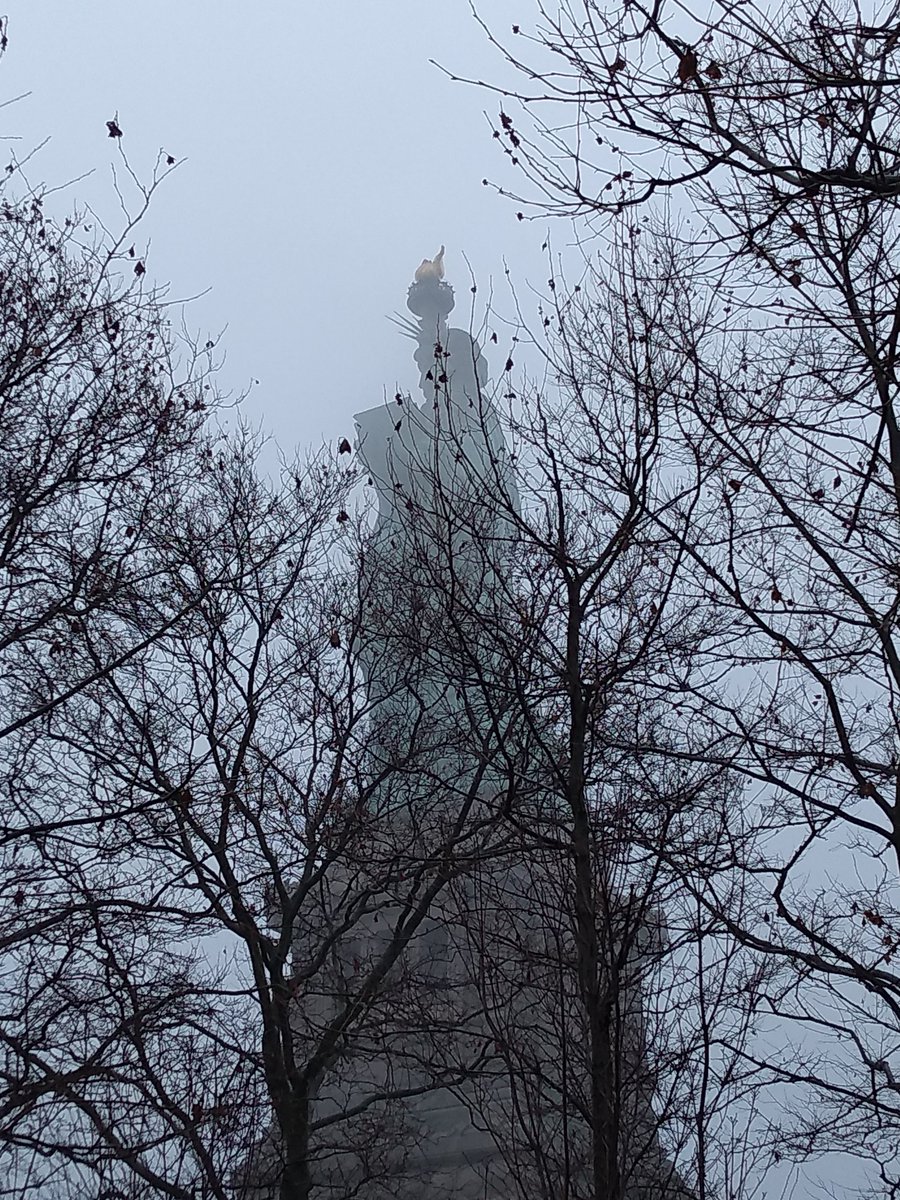 Photo of the Statue of Liberty on a cloudy day with tree limbs in the forefront.