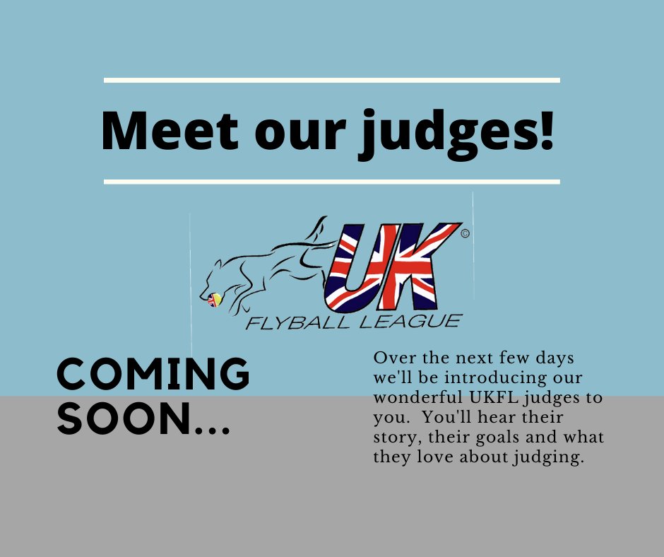 UKFlyball's tweet photo. #UKFL #UKFLrocks #flyball https://t.co/gOWWO49qyB