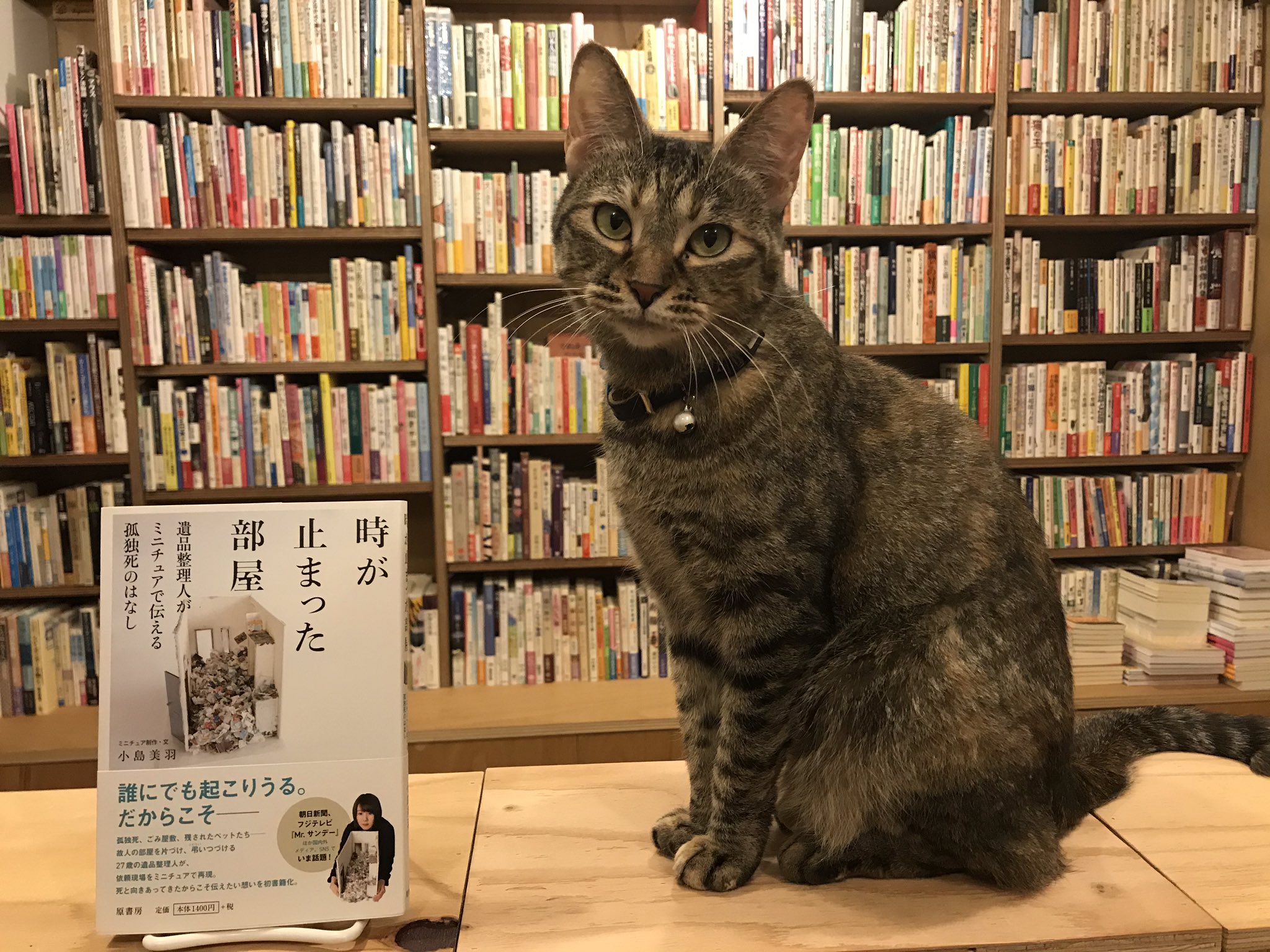 キャッツミャウブックス On Twitter 時が止まった部屋 遺品整理人がミニチュアで伝える孤独死 のはなし は そのテーマから敬遠する方がいらっしゃるかも知れませんが 猫を愛するニンゲンたちに 残されたペットたち の章だけでもお読みいただきたいので 当店でも