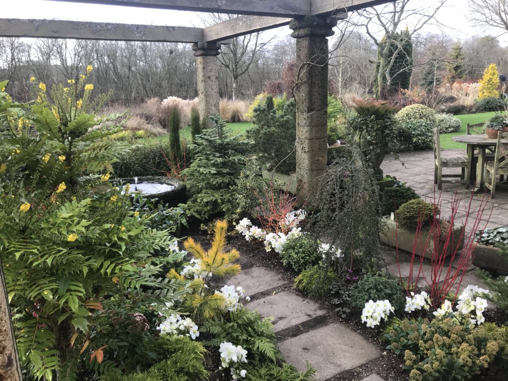 AlpinesJT's tweet photo. First open day of 2020! Come and see a garden and be inspired for winter interest. A garden which is to be enjoyed every day of the year! @ashnurs https://t.co/8SF3sjpIUw