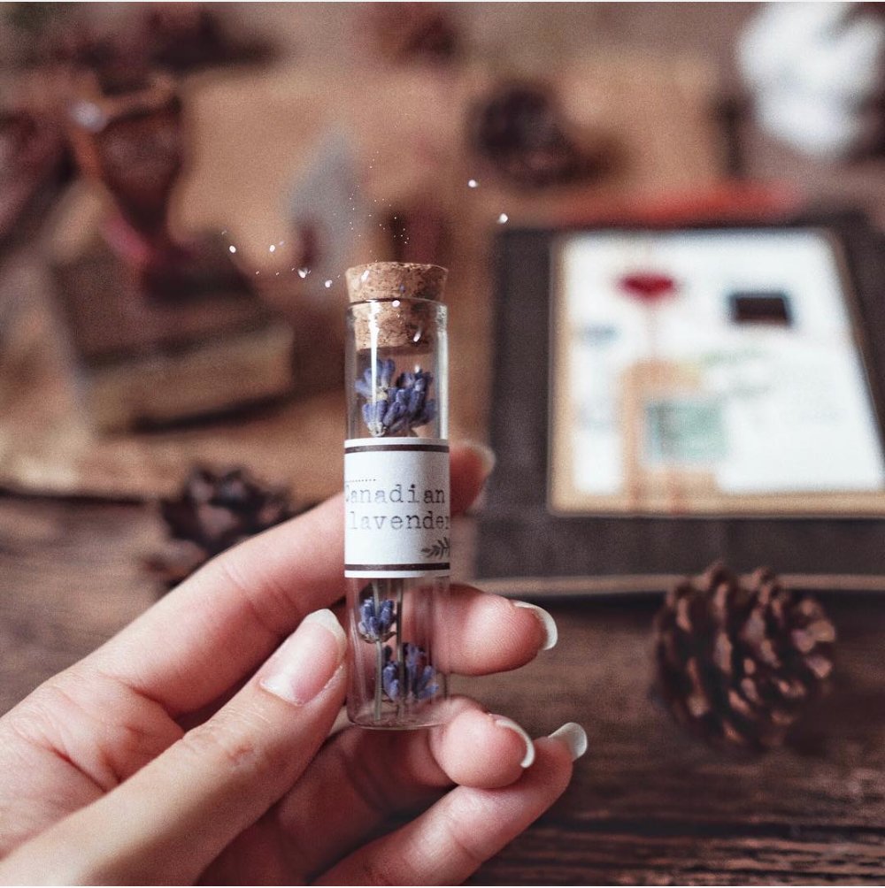 BrewandBloom tweet media