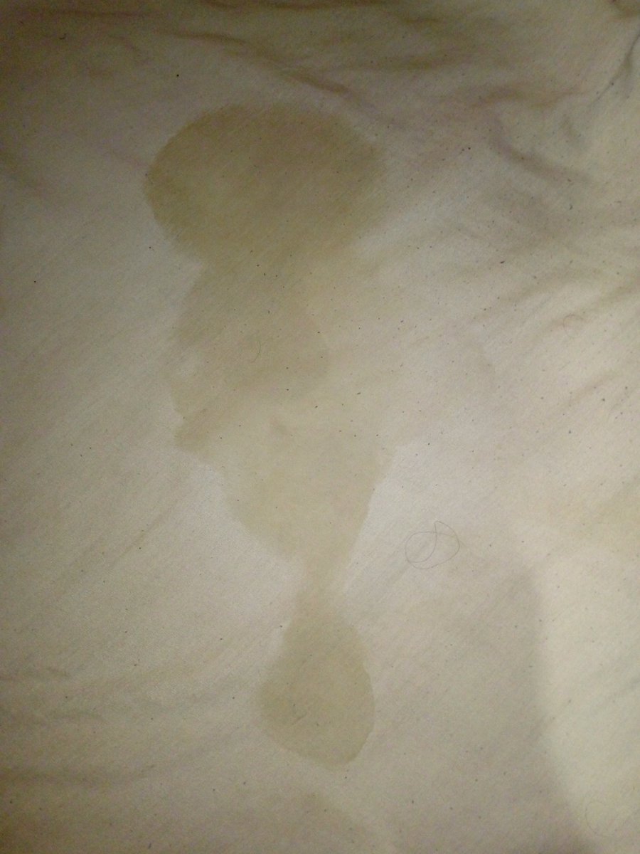 AlexGarzaMty's tweet photo. Me sente a un lado de ella , comencé a besarla ella abrió sus piernas llegue a su intimidad la dedie hasta que ella no podía más, la lleve a la cama, me miro a los ojos, abrió sus piernas y me dijo " comeme toda" lo hice hasta que termino en mi boca, este fue el resultado.. rico https://t.co/VJceICASLu