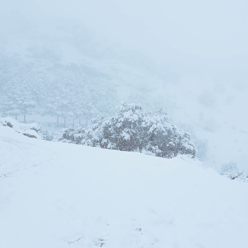 HPampaneira's tweet photo. ❄☃️ ¡¡Día de nieve en La Alpujarra!! #Pampaneira #Granada #FelizSabado #Alpujarra #SierraNevada #nieve #Temporalgloria https://t.co/Had9ZYk3lQ
