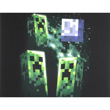 Minecraft Bilder Home Facebook