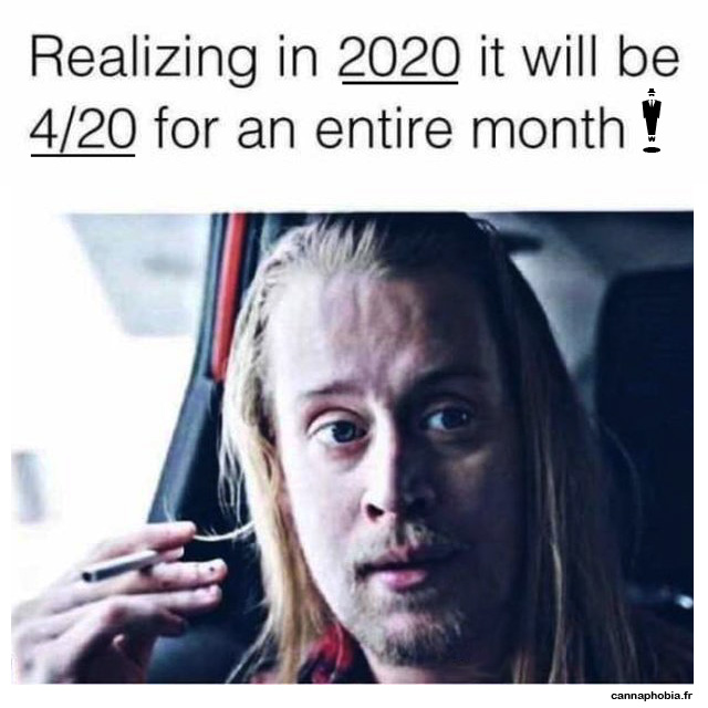CANNAPHOBIA_'s tweet photo. Quand tu réalises que le 420 va durer 1 mois en 2020 https://t.co/4hbs16cWdB