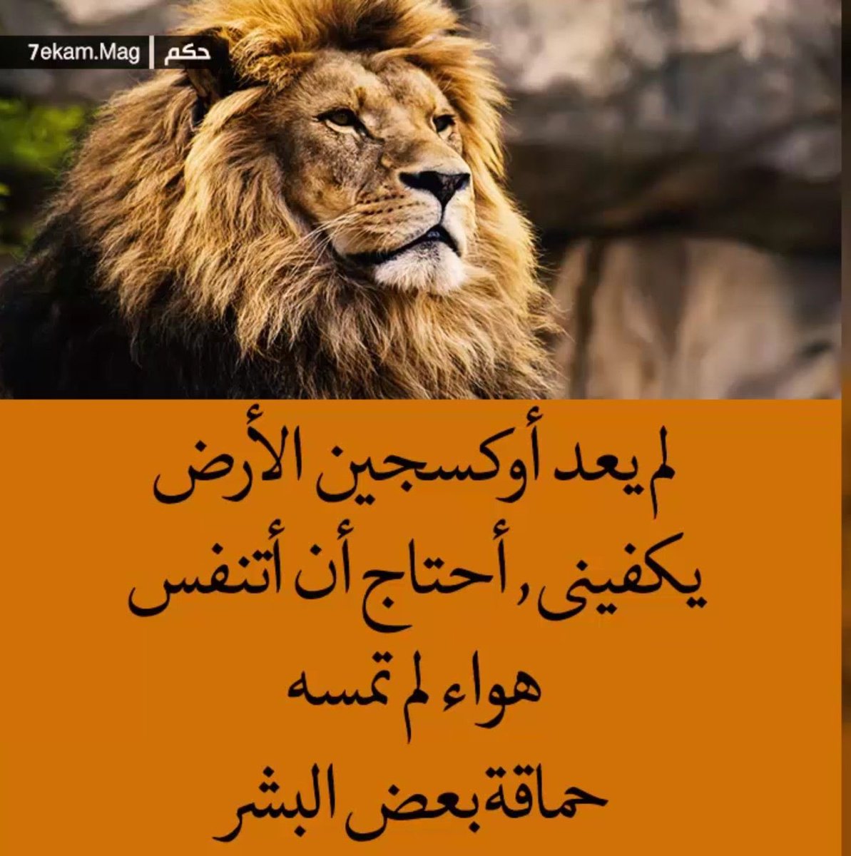 P2Mm6's tweet photo. ياجماعة الخير #حسابي يتعرض لهجمة من قبل
#الذباب_الإلكتروني
وأصبح ثقيل جداً ومحتمل يقفلونه في أية لحظه فهل من دعم..؟!! https://t.co/AbCEYhWlek