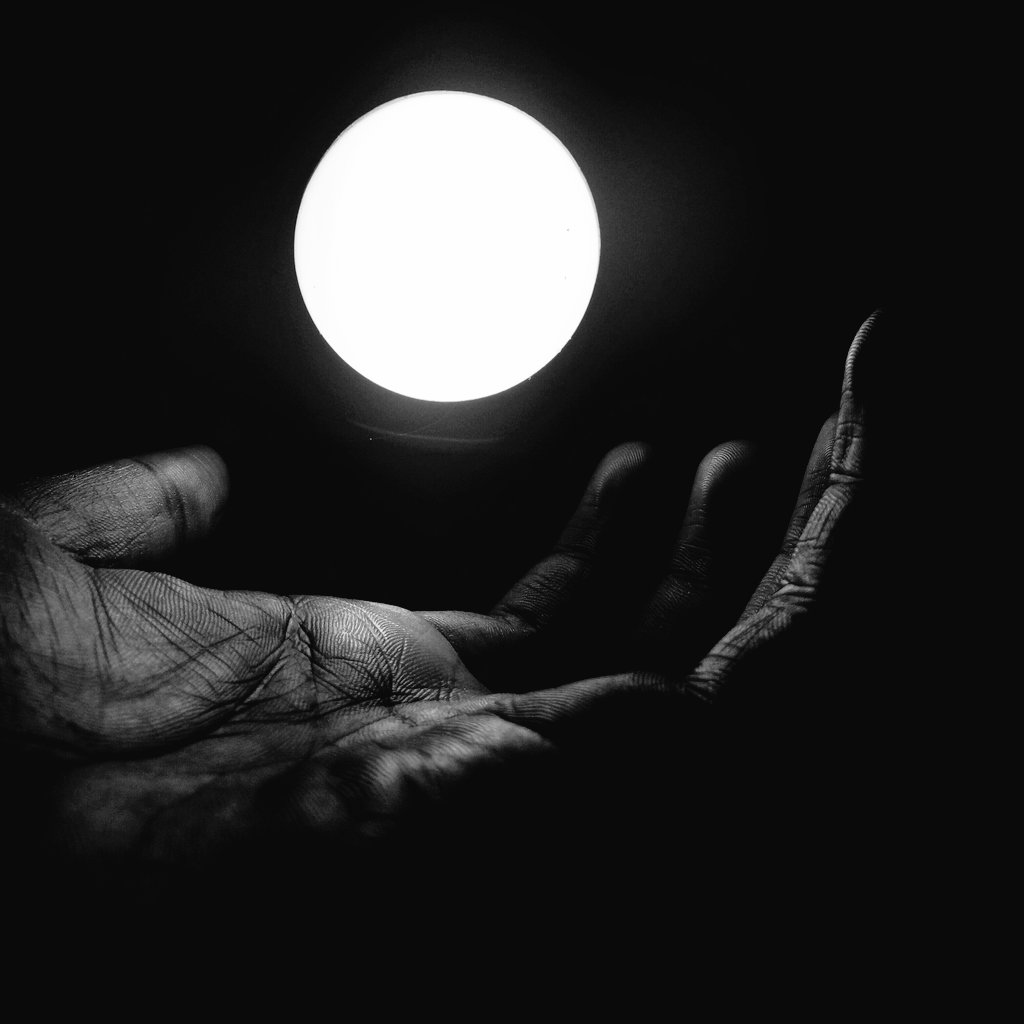 #photography #PhotoOfTheDay #Photoshoot #photographer #naturephotography #nature #PhotoOfTheDay #photograph #PhotoMode #photoshop #twiter #TweetAlong #tweeter