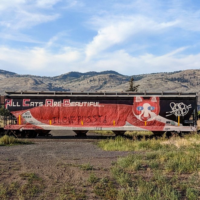GraffitiExpress's tweet photo. All Cats Are Beautiful..
#kamlooops #train #graffiti #art
#allcatsarebeautiful
#caturday https://t.co/u4mHudL4jQ