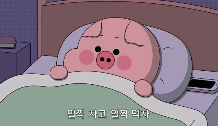 IAteAlready's tweet photo. @DAY6_BOBSUNGJIN 한국와서는 떡국도 꼭 먹어!! https://t.co/11KhPulz3T
