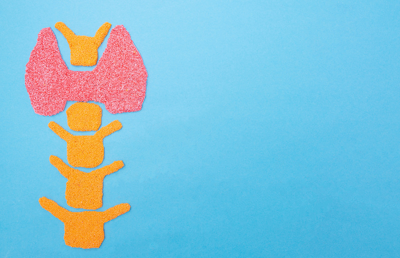 Thyroid (Adobe stock)
