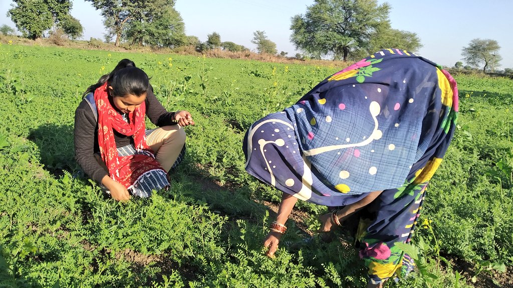 GFsaumya's tweet photo. Exploring the village life at #AspirationalDistrict damoh while ensuring no child to be left to get the main stream of education. 

Meanwhile, I felt overwhelmed while getting the blessing from community members. 
@vkteet @thegfprogram @NITIAayog @Manmohan4Peace 
@PiramalFdn https://t.co/8KcLa6vGKB