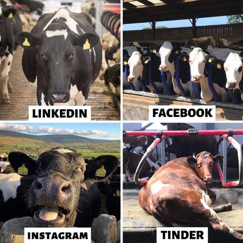 #DollyPartonchallange 

Que tengan un buen sábado. 

#AcáSeguimos