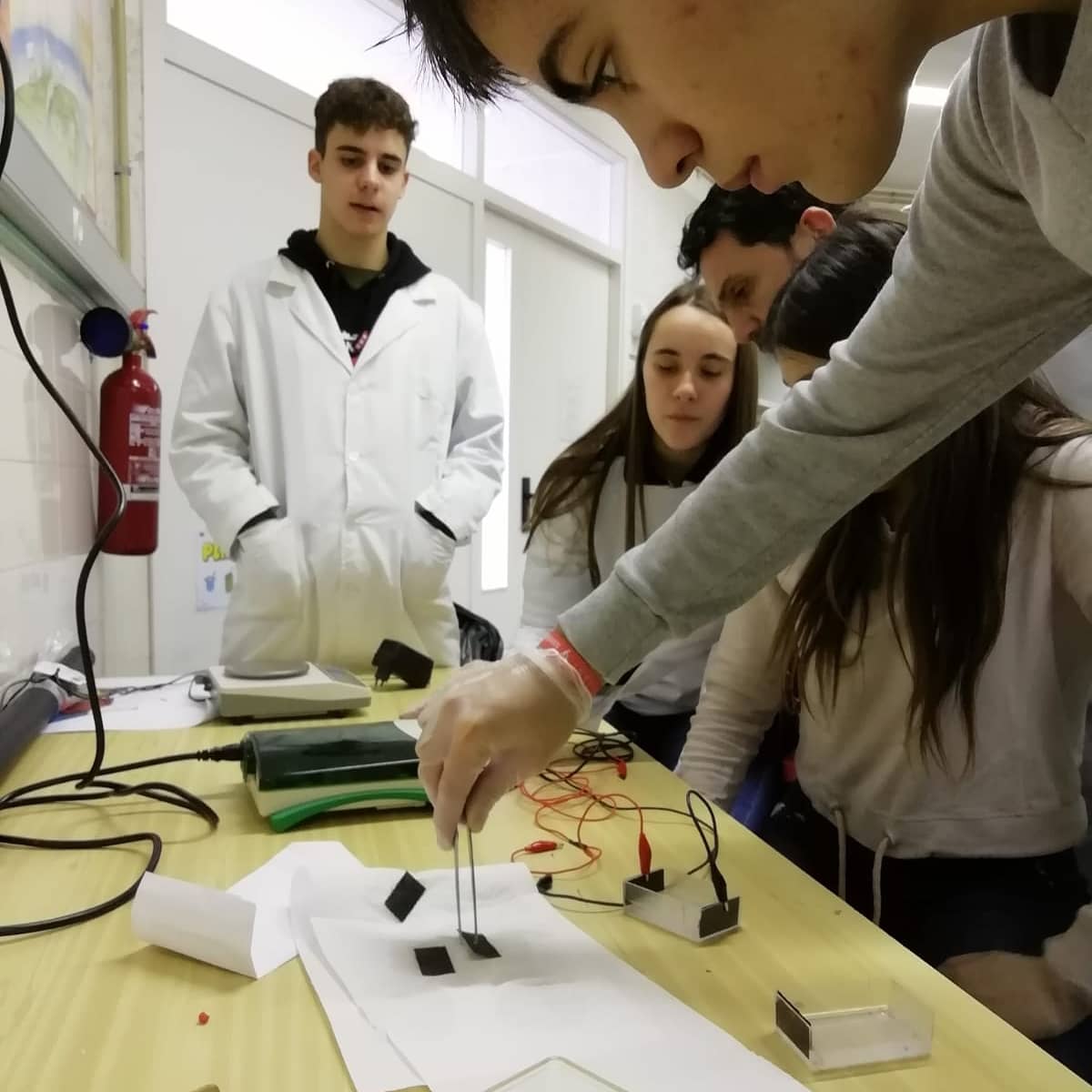 igdmaristes's tweet photo. Les i els alumnes de #Biologia de #4tESO hem realitzat una #electroforesi d'ADN.
#MaristesAra https://t.co/yX2cqO7vxG