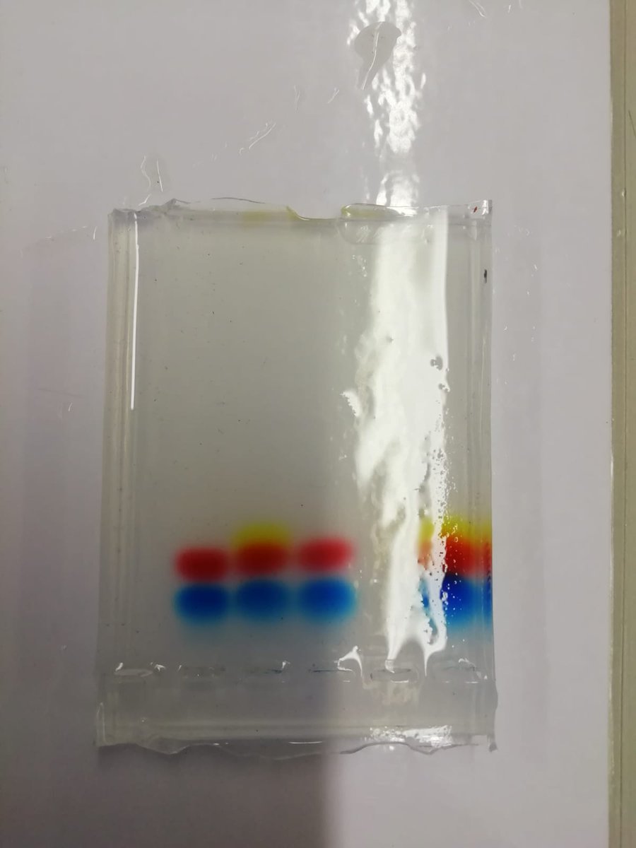 igdmaristes's tweet photo. Les i els alumnes de #Biologia de #4tESO hem realitzat una #electroforesi d'ADN.
#MaristesAra https://t.co/yX2cqO7vxG