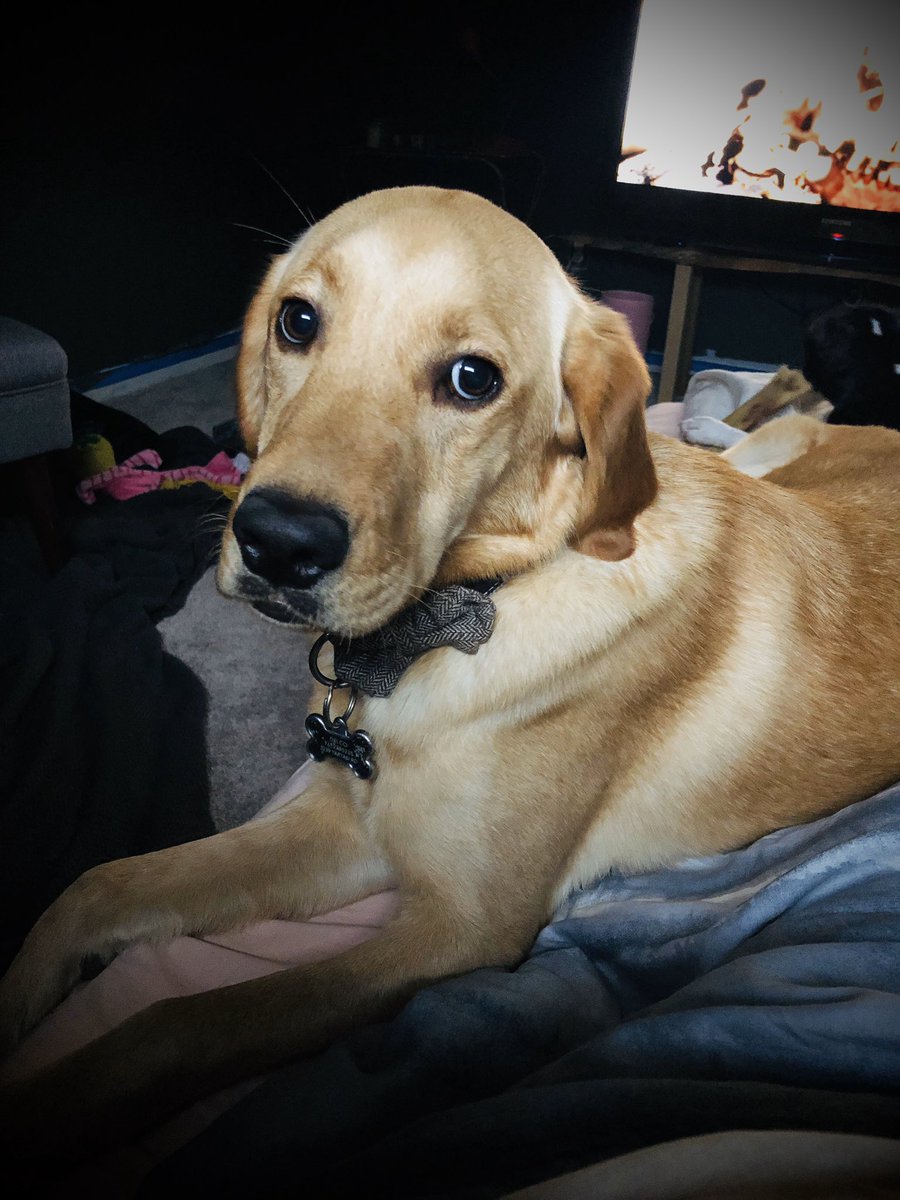 offthe88record's tweet image. 