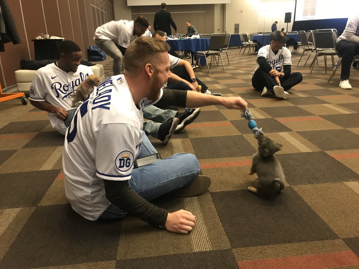 WaysideWaifs's tweet photo. Even @Royals need puppy breaks. #puppies #cuddles #adopt #WaysideWaifs #FanFestKC https://t.co/afRtwY7Ewa