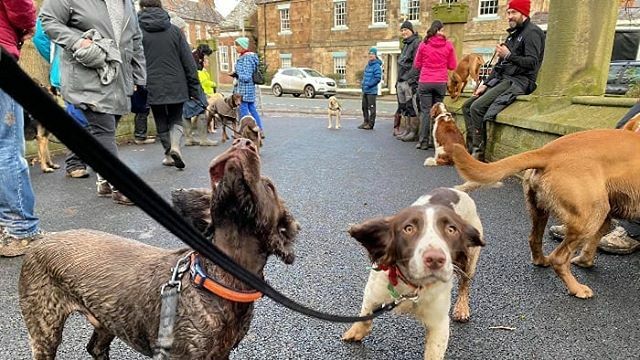 Pooches - attention! 🐾 9.30am sharp at The Glynne Arms for Dog Social and Breakfast tomorrow with @secretlifeofdogswws 🐾 Don't be late 👊 ift.tt/37sdhZP