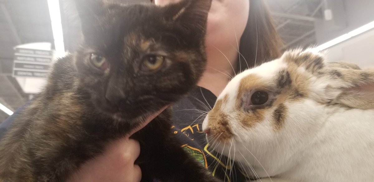 Greenfield PetSmart tweet media