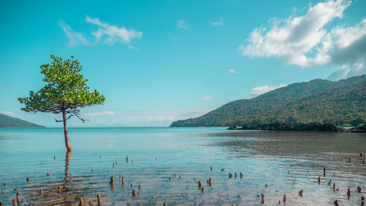 tomsharpp's tweet photo. Favourite landscape shots from last year #top42019 https://t.co/IJibcCaNCk