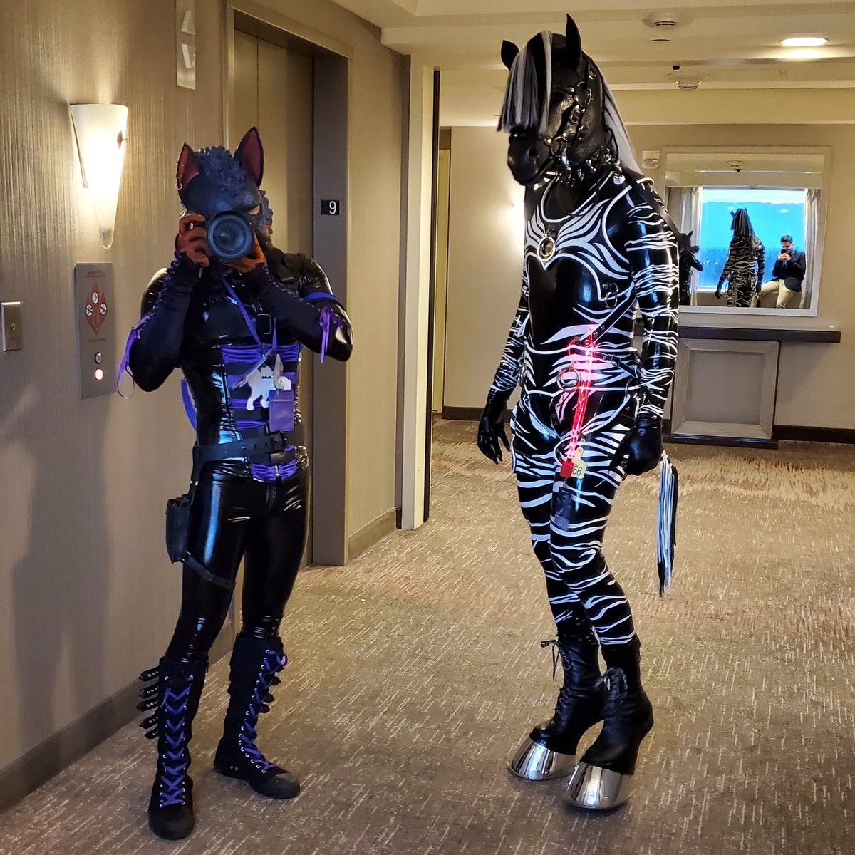 Taking a picture of a pup taking a picture...