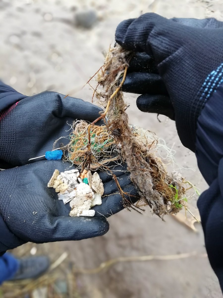 hullbeachcleans's tweet photo. Big thanks to everyone who came out beachcleaning today on this chilly Jan day 👏🏻🏖️🐕

Here's the haul from Fraisthorpe which weighed ~120kg! A reminder that even though the beach looks clean- as soon as you look closer there will be things to find!
@YWTLivingSeas #BeachCleanClub https://t.co/qjx8kTuDLR