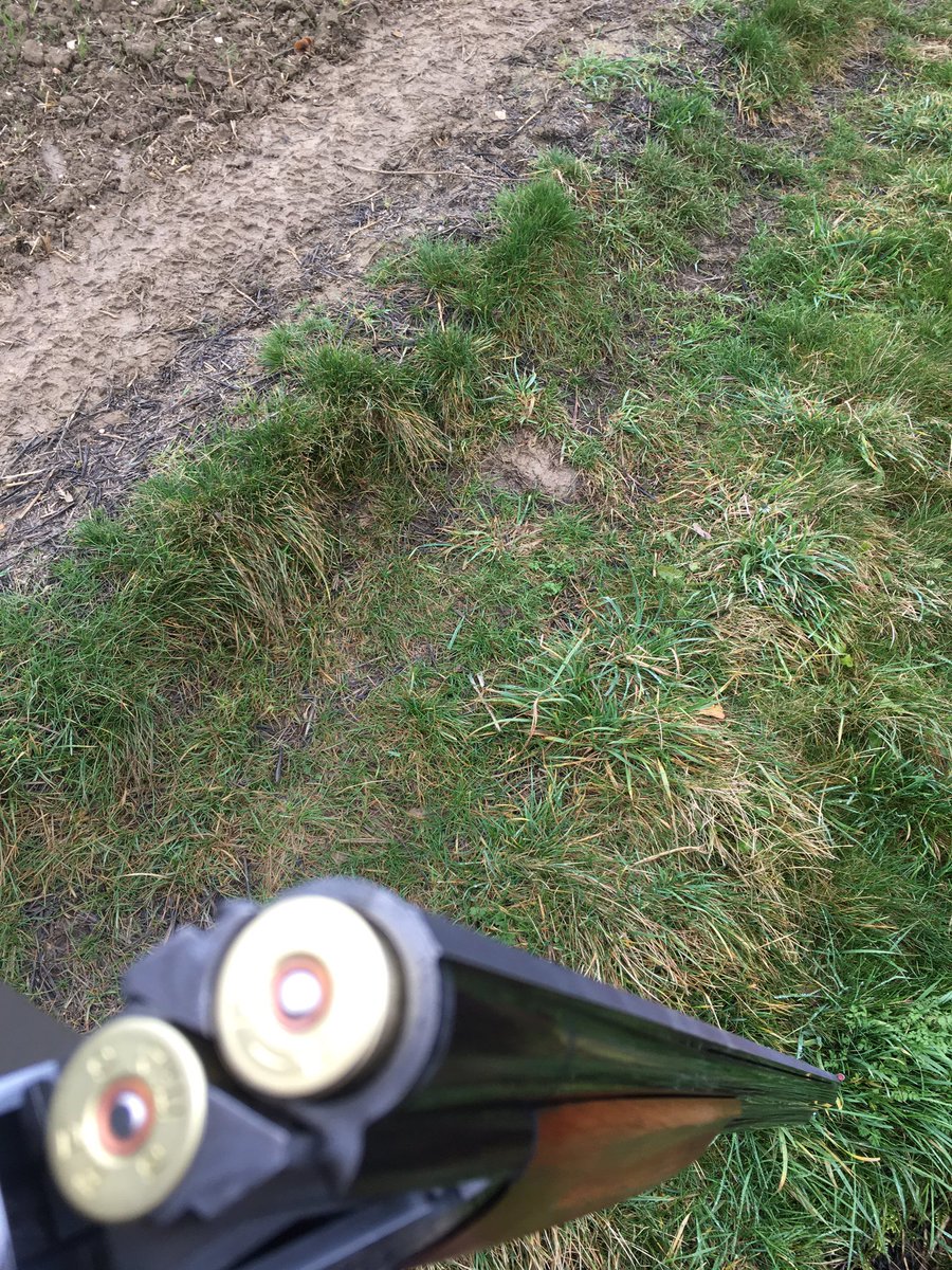 ChilderditchFms's tweet photo. Last day out for me. First day for Tilly dog. Performed well and fairly well behaved. Good season #shoot19 https://t.co/6SCinhjjJz