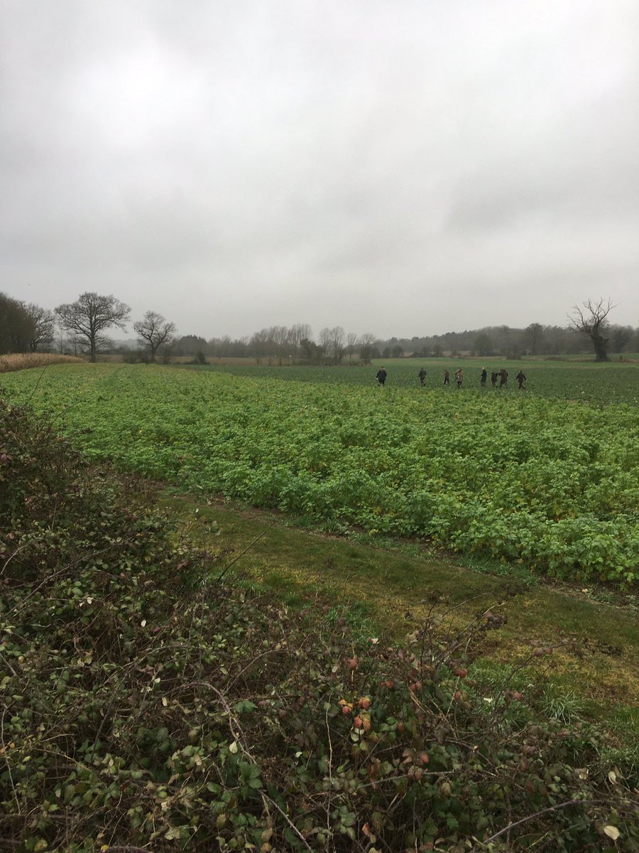 ChilderditchFms's tweet photo. Last day out for me. First day for Tilly dog. Performed well and fairly well behaved. Good season #shoot19 https://t.co/6SCinhjjJz