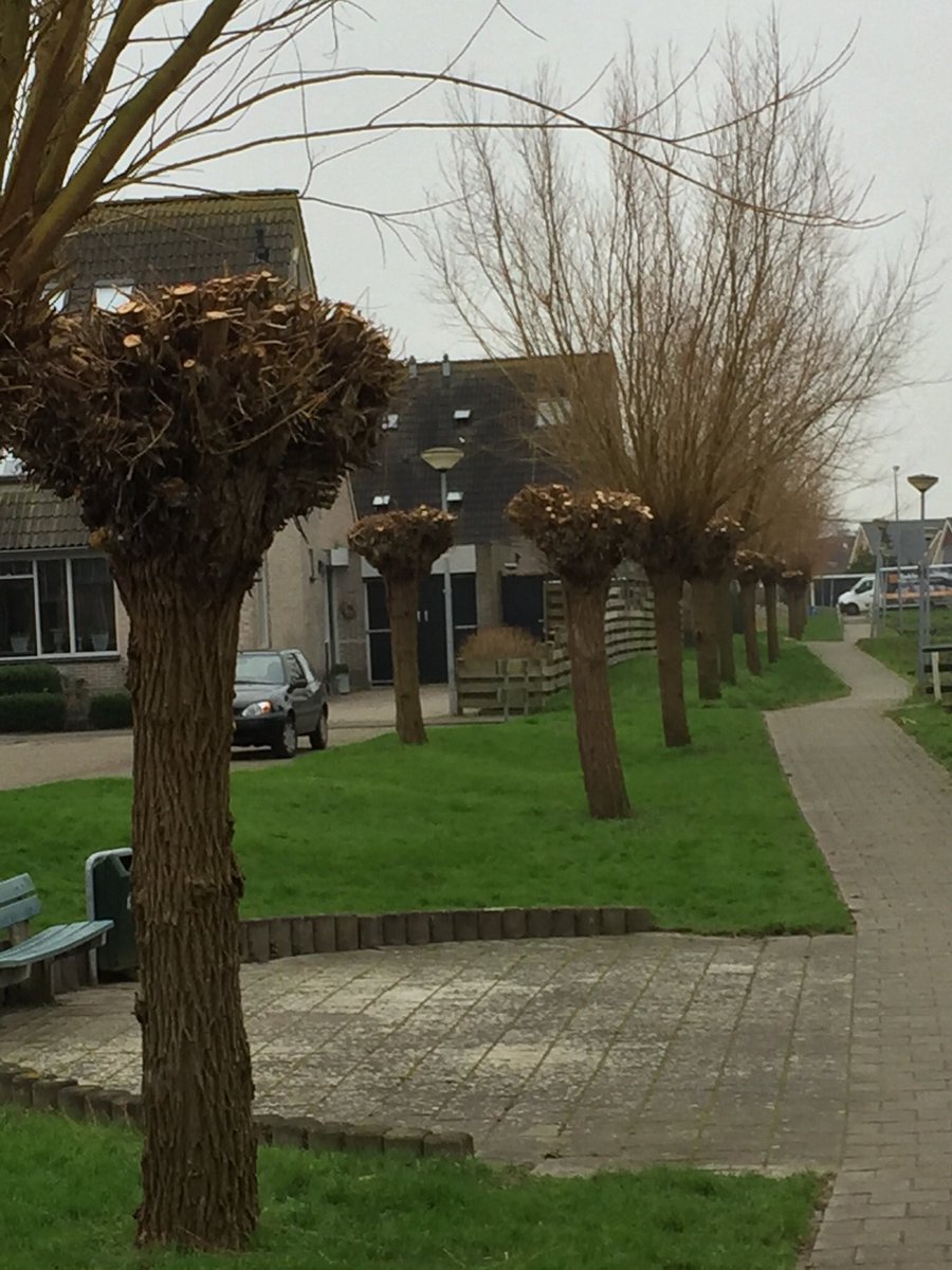 Hans Kaljee tweet media