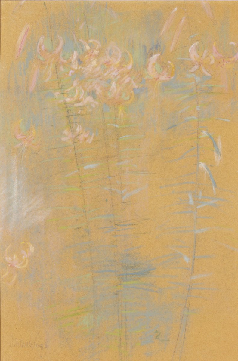 Pastel on paper of tiger lily flowers.