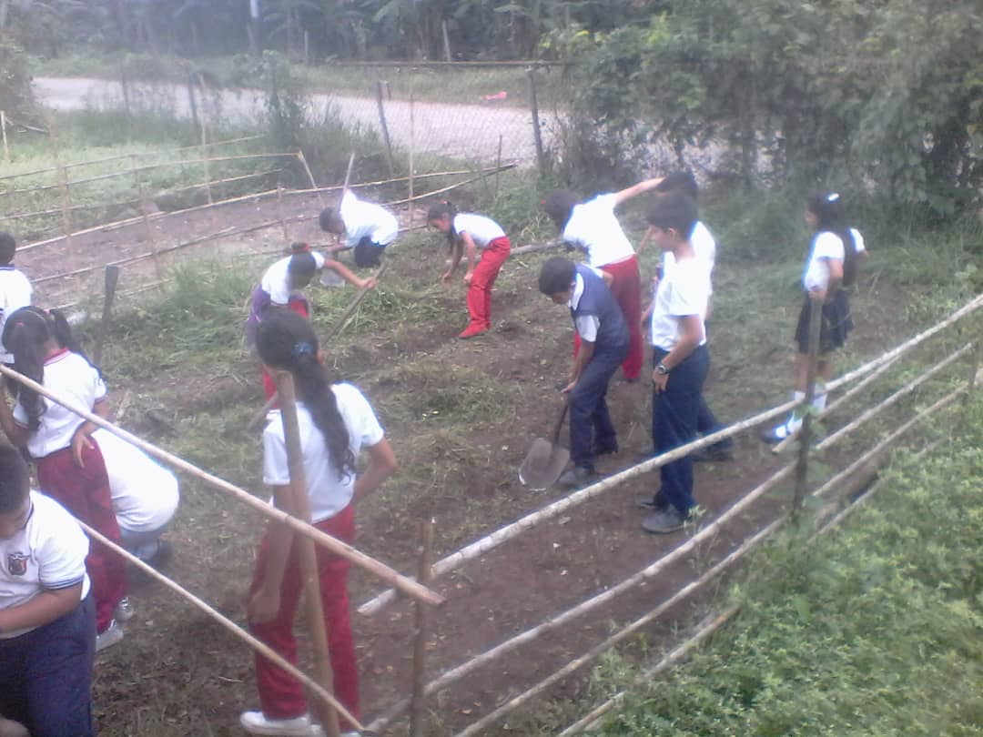 Deshierbe del huerto 3ero "B"; preparando espacio para pintar; actividad con los libros semilleros de paz, 3ero "A"; acondicionamiento huerto 5to "B", siembra de yuca. @ZonaEducTachira <a href="/Crazet2011/">Crazet2011</a> <a href="/circuitoeduca11/">@circuitoeducativotorbes2018</a> <a href="/Div_Ini_Pri_Esp/">Divi. de Niños y Niñas ZET</a>  @MPPEDUCACION <a href="/fuertemurachi/">fuerte murachi</a>