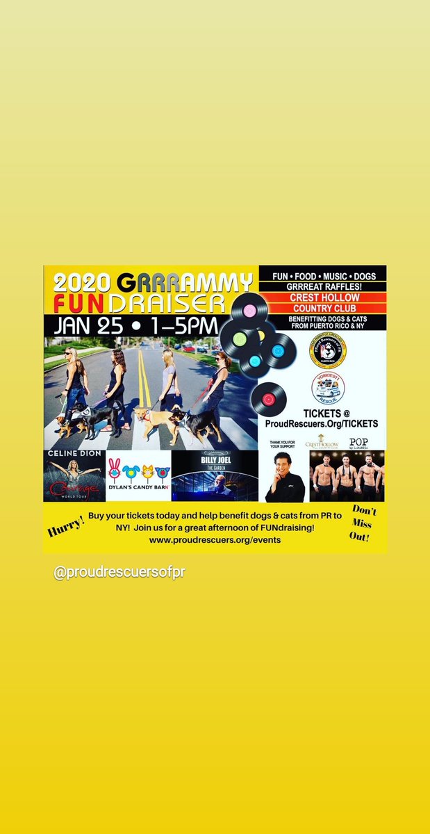 Mindy Abbruzzese tweet media