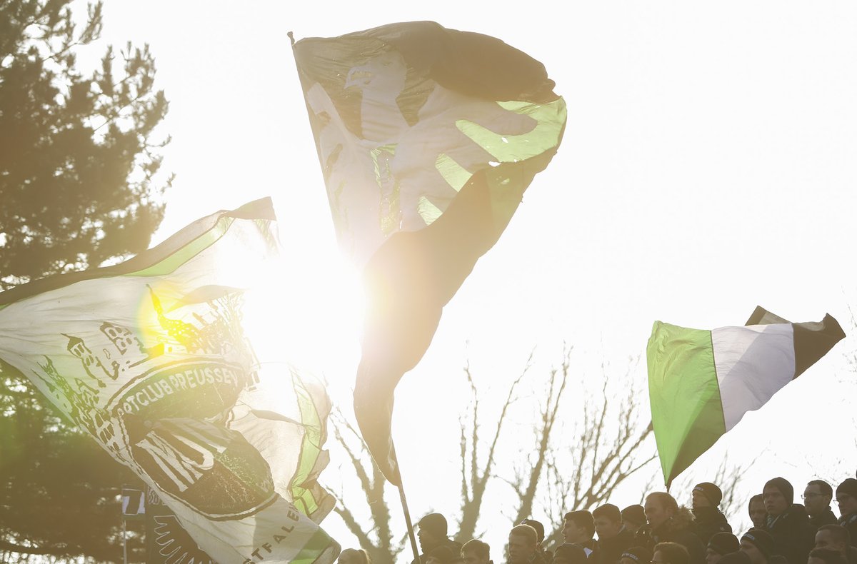 Preussen06's tweet photo. 📸 Die Bildergalerie mit den schönsten Fotos aus Jena Paradies 👉 https://t.co/MtPZM2HODG #FCCSCP #scp06 https://t.co/encXpLwyI3