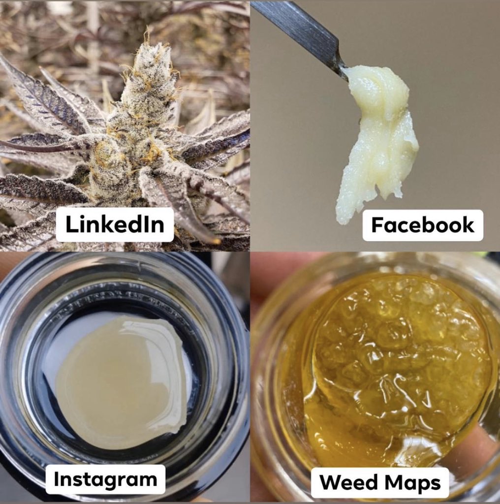 saturnkilled's tweet photo. So I guess this is a thing? #DollyPartonchallange #IGotKickedOutOfSpaceForce #weedmaps #SaturdayMorning #stanP #caweed #420girls #harmreduction #LegalizeIt https://t.co/iY1GDhTJ8B