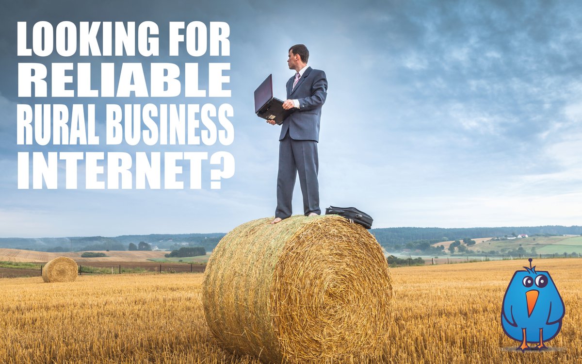 Need fast reliable rural internet for your business? Call us today! 519.688.2223. #ruralinternet #wirelessinternet #businessinternet #homeinternet #tillsonburg #oxfordcounty #elgincounty #norfolkcounty