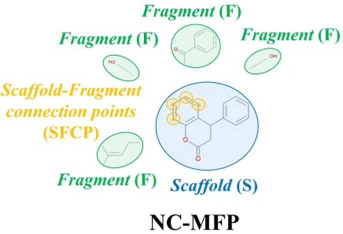 ToC graphics showing fragments and a scaffold, highlighting four connection points.