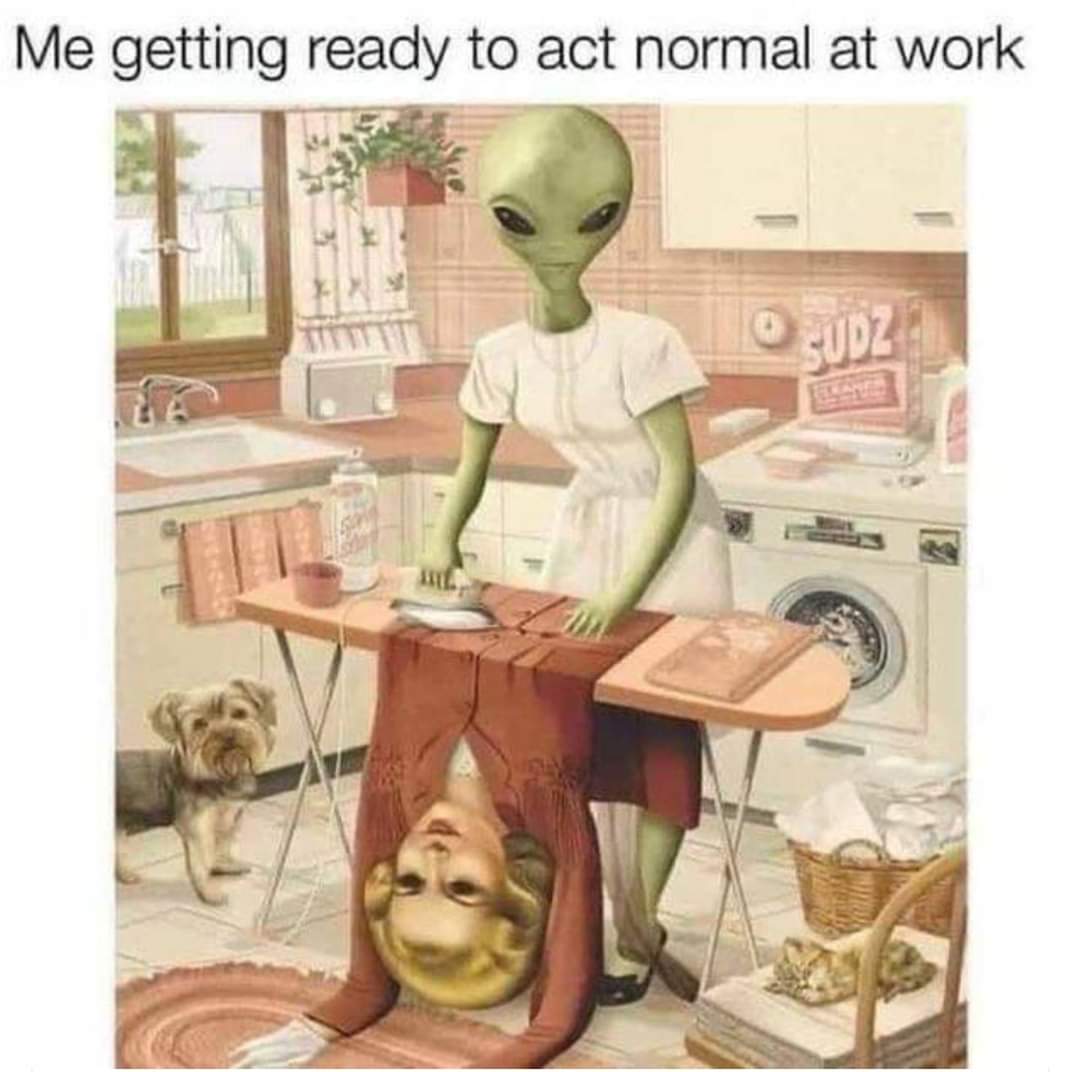 lisagraceac's tweet photo. Starting my morning #SaturdayMorning @aliencathouseLV https://t.co/zulxRtUIH5