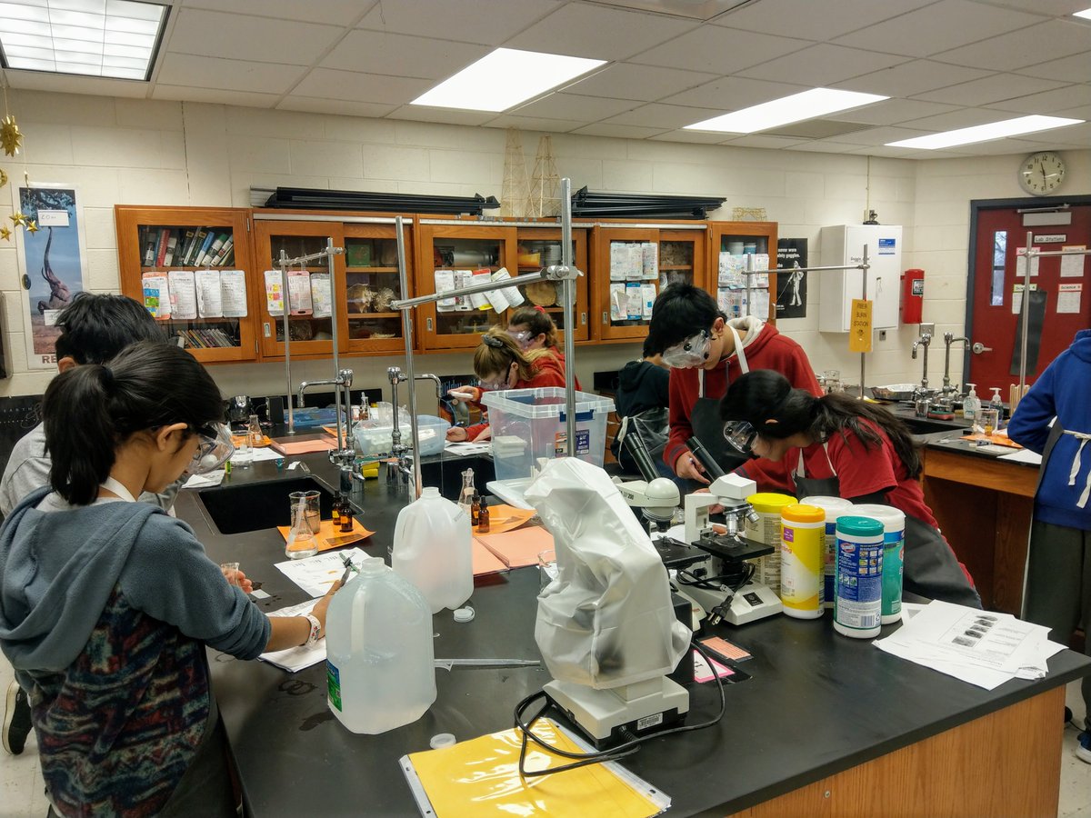 Patricia Lafferty tweet media