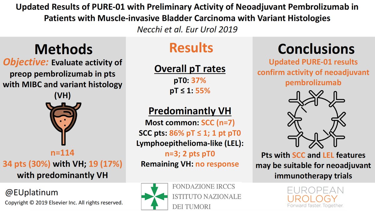 European Urology (@euplatinum) on Twitter photo Updated Results of PURE-01 with Preliminary Activity of Neoadjuvant Pembrolizumab in Patients with Muscle-invasive Bladder Carcinoma with Variant Histologies
<a href="/AndreaNecchi/">Andrea Necchi</a> <a href="/F_Montorsi/">Francesco Montorsi</a> <a href="/u_capitanio/">Umberto Capitanio</a>
#VisualAbstract
buff.ly/2MeCxKh Updated Results of PURE-01 with Preliminary Activity of Neoadjuvant Pembrolizumab in Patients with Muscle-invasive Bladder Carcinoma with Variant Histologies
<a href="/AndreaNecchi/">Andrea Necchi</a> <a href="/F_Montorsi/">Francesco Montorsi</a> <a href="/u_capitanio/">Umberto Capitanio</a>
#VisualAbstract
buff.ly/2MeCxKh