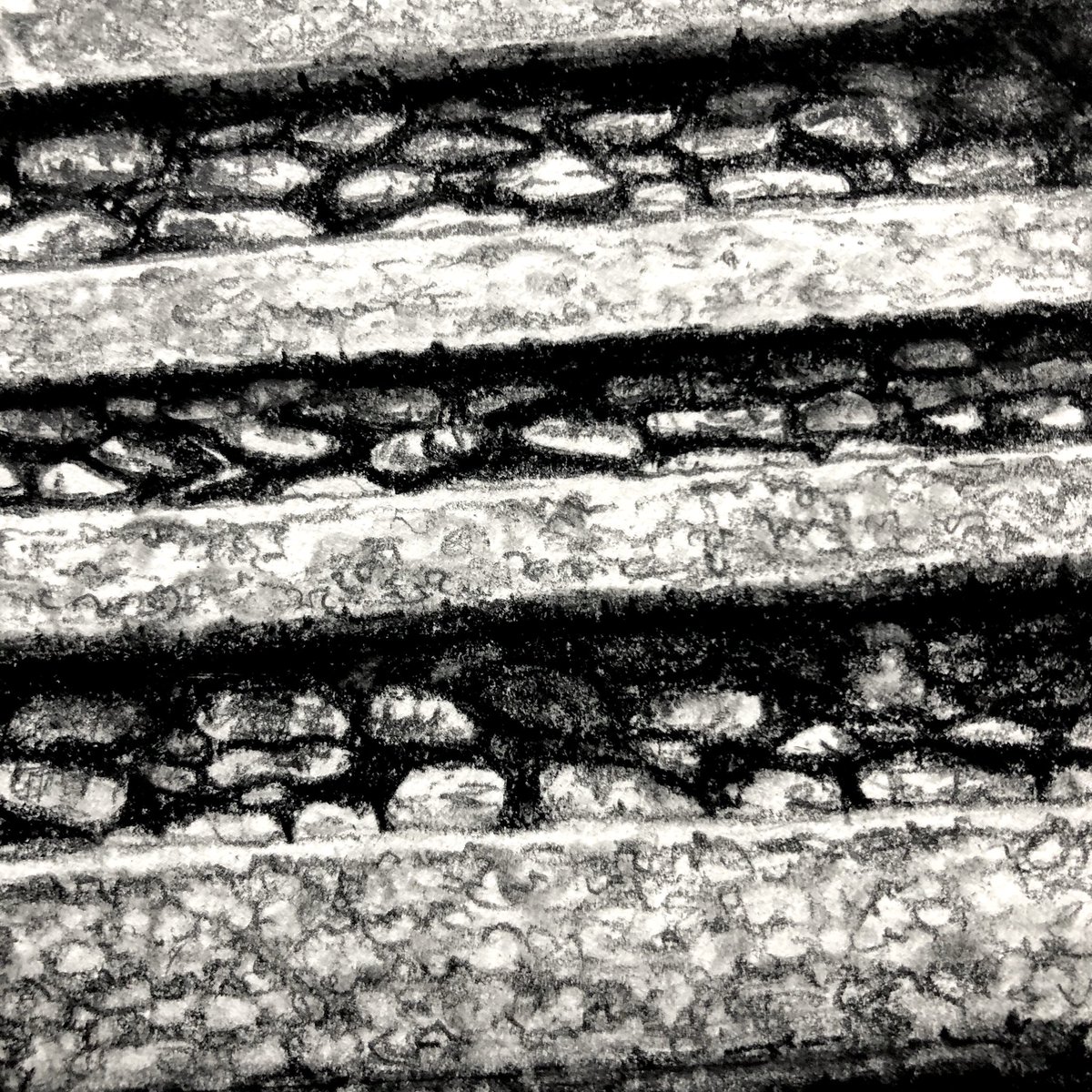 AliceHole's tweet photo. Cobbled steps...
#drawing #drawingdetail #stonesteps #cobbledstreets #cobbledsteps #helston #cornwall #wip https://t.co/YptPwNDe8Y