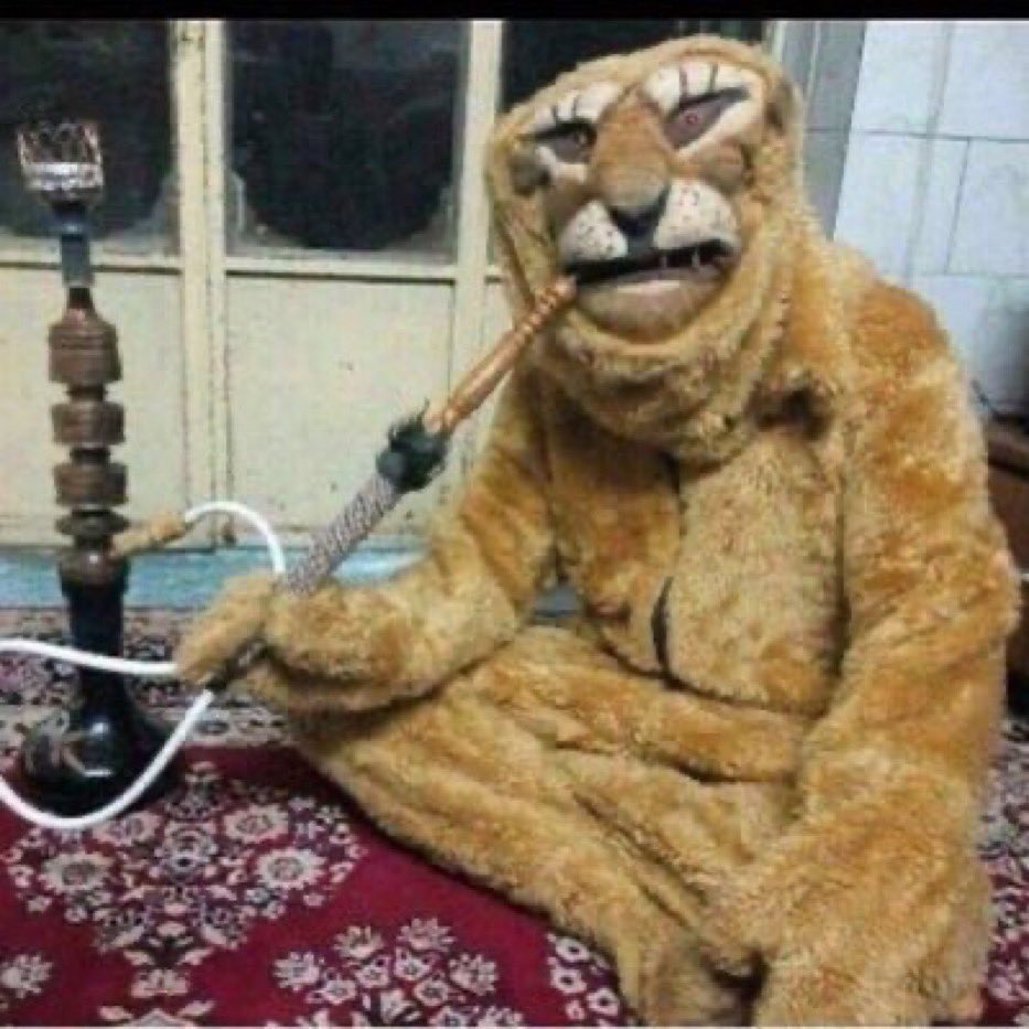 سالم العثمان tweet media
