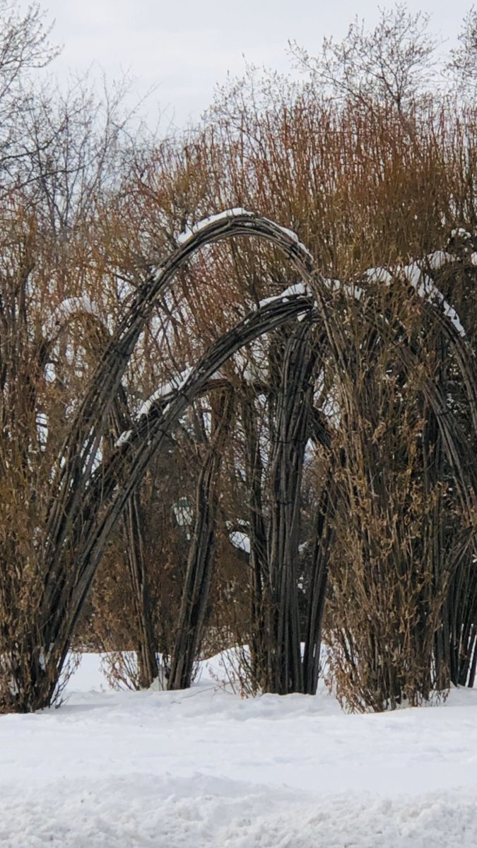 carolg3photoart's tweet photo. While driving I came across this arrangement in nature and I had to photograph it! #GoGetTony #nature #Creative #Photography #SydneyArtoon #Loverdesart https://t.co/p3S6fWPwE7