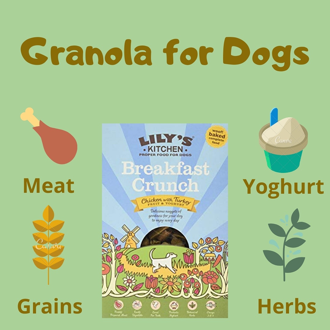 Vitalife_Health's tweet image. Lily's Kitchen breakfast crunch - granola for dogs.

Available now: vitalifehealth.com/lilys-kitchen-…

#lilyskitchen #petfood #realfoodfordogs #dogfood #vitalifehealth