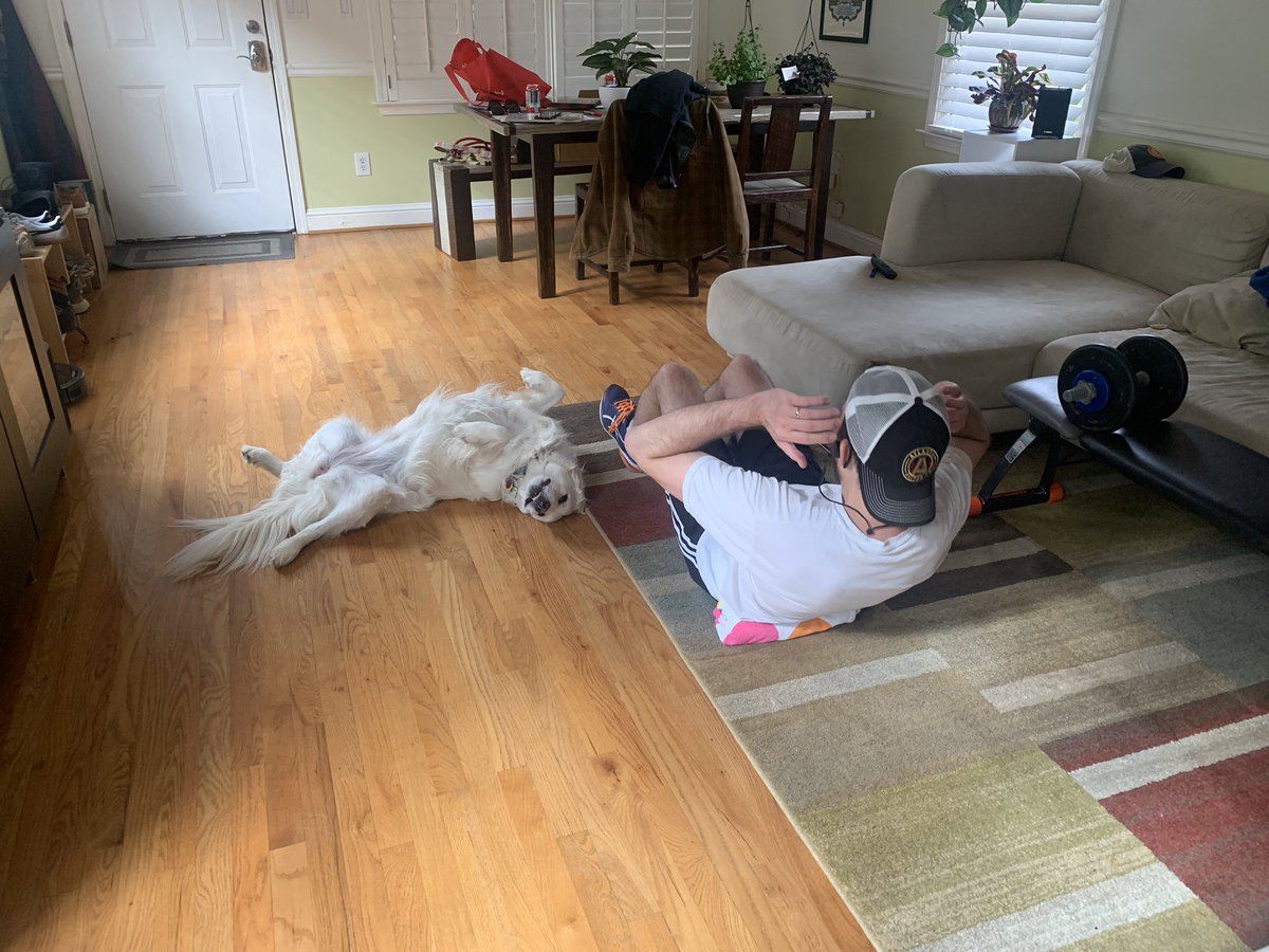 Janarchy29's tweet photo. We’re dog sitting this little butterbean and she decided to work out with @WanderingTravis https://t.co/nOuMAup8Ux