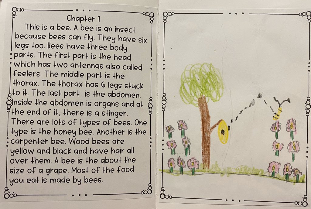 Katiemcausey's tweet photo. When you set high expectations, your students produce the highest! #bugbooks #weareauthors #iteach2ndbutreallytheyteachme #changingtheworldonecubatatime @CubsLEAD @Megan549 @GeauxMattReher @AmericanReading https://t.co/Js6Su598xq