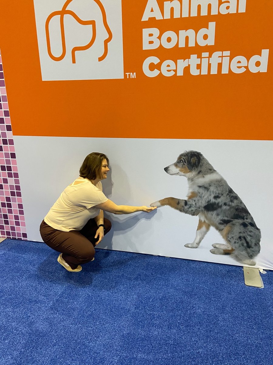 Veterinarian Coaching tweet media